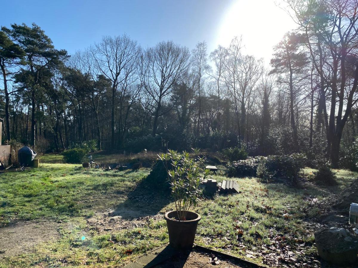 B&B De Hinne Holten Luaran gambar